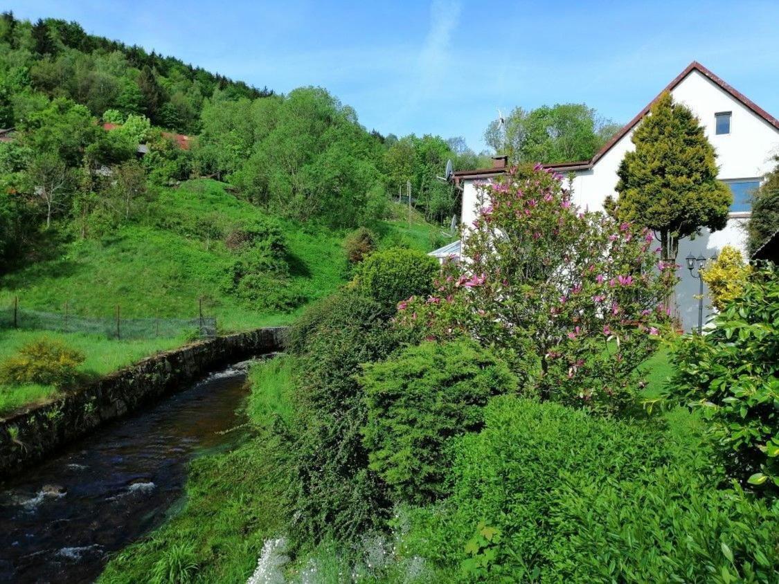 Apartament Nad Potokiem Piechowice  Exteriér fotografie