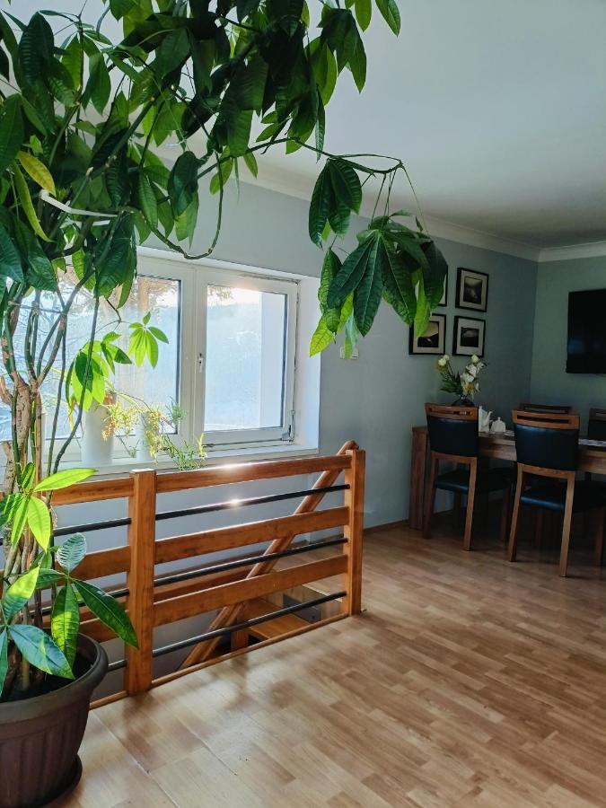 Apartament Nad Potokiem Piechowice  Exteriér fotografie